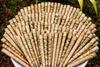 Clemente Cruz Organic Palm Leafs (2 Pack, 6 Wraps) view 3
