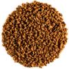 Fenugreek Seed Organic Quality Seeds - Culinairy Grade - Real Trigonella Foenum-graecum - Fenegreek Fenugreek Organic Fenugrec Seed Funegreek Seeds Fenugreekseed Seed Feenageek Fungreek view 1