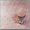 Bolivian Pink Sea Salt (Sal Rosa) from the Salts of the Earth Collection by Merchant Spice Co. (Medium Grain, 1 ounce) view 1
