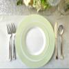 " OCCASIONS " 120 Plates Pack, Disposable Wedding Party Plastic Plates (7.5'' Appetizer/Dessert Plate, Rio in White & Pearled Green) view 4