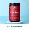Ancient Nutrition Hydrolyzed Collagen Peptides Powder, Unflavored Multi Collagen Powder Packets for Women and Men with Vitamin C, 24 Servings, Supports Skin and Nails, Gut Health view 3