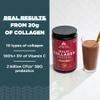 Ancient Nutrition Hydrolyzed Collagen Peptides Powder with Probiotics, Chocolate Multi Collagen Protein for Women and Men with Vitamin C, 40 Servings, Supports Skin and Nails, Gut Health, 16.65oz view 3