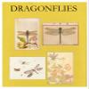 Greeted Card Collection Dragonflies Note Cards - Boxed Set of 16 Note Cards with Envelopes view 2