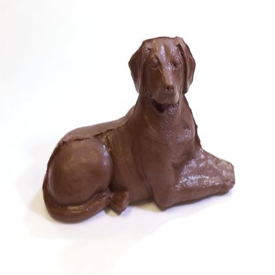 Chocolate Labrador Dog (white,1lb)