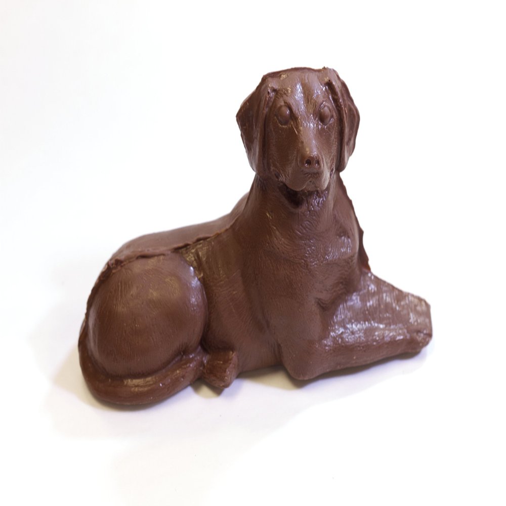 Chocolate Labrador Dog (white,1lb)