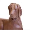 Chocolate Labrador Dog (white,1lb) view 2