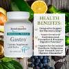 TRANSFORMATION THE GENESIS OF GOOD HEALTH Gastro Enzyme Supplement with Herbal Blend & Vitamin E, Formula to Alleviate Gastrointestinal Discomfort, Support for Relief of Heartburn, 90 Capsules view 2