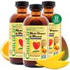 CHILDLIFE Essentials Kids Multivitamin & Mineral - Kids Vitamins, Liquid Multivitamin for Kids, Toddler Multivitamins, Liquid Vitamins, Baby Multivitamin - Natural Orange & Mango, 8 Fl Oz (Pack of 3) view 1
