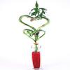 Athena's Garden BA-HS08-HCZ430MP Heart Bamboo in Pink Pot, One Size, Green/Pink view 1