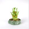 Athena's Garden Lucky Bamboo Tower Ceramic Frog Pot view 2