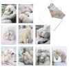 The Best Card Company - 10 Assorted Blank All Occasions Notes Box Set 4 x 5.12 Inch with Envelopes (10 Designs, 1 Each) Boxed Assorted Kid Cards of Pets - Bear Hugs AM6327OCB-B1x10 view 1