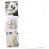 The Best Card Company - 10 Assorted Blank All Occasions Notes Box Set 4 x 5.12 Inch with Envelopes (10 Designs, 1 Each) Boxed Assorted Kid Cards of Pets - Bear Hugs AM6327OCB-B1x10 view 3