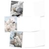 The Best Card Company - 10 Assorted Blank All Occasions Notes Box Set 4 x 5.12 Inch with Envelopes (10 Designs, 1 Each) Boxed Assorted Kid Cards of Pets - Bear Hugs AM6327OCB-B1x10 view 4