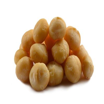 Bulk Macadamia Nuts Roasted Unsalted 17lb (Case)  Wholesale Macadamia Nuts Roasted Unsalted