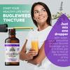 FLORIDA HERBS Bugleweed Tincture, Organic Bugleweed Extract (Ze LAN, Lycopus Virginicus) Herbal Supplement, Non-GMO in Cold-Pressed Organic Vegetable Glycerin 700 mg, 2 oz (60 ml) view 4
