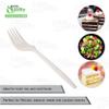 Disposable Plastic Cutlery Fork (50 Count) - Medium Weight White Disposable Plastic Forks - Great for Parties, Office, Lunch, Restaurants by EcoQuality view 4
