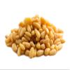Bulk Pine Nuts 18lb (Case)  Raw Pine Nuts Wholesale view 1