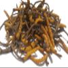 GinsengStoreAndMore Wild Cordyceps, Whole Himalyan Cordyceps Sinensis Mushroom, Genuine and Very Rare, High Grade, Boost Energy, Reduce Stress for Men and Women, 3 Grams view 3