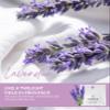 Essence Wearable Aromatherapy Nasal Diffuser  Lavender Essential Oil Nose Ring Silicone Inhaler for Stress & Mood Support - Made in USA & Travel-Friendly view 3