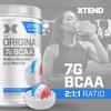 Xtend Original BCAA Powder 7g BCAA and 2.5g L-Glutamine, Sugar Free Post Workout Muscle Recovery Drink with Amino Acids for Men & Women, 30 Servings view 3