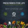 Prescribed For Life Cinnamon Powder 10:1 | Bulk Cinnamon Powder for Flavorful Baking | Vegan, Gluten Free, Non-GMO, No Soy | Cinnamon Supplement for Heart Health - Cinnamomum cassia (4 oz / 113 g) view 3