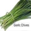 250++ Garlic Chives Seeds Herb Allium Tuberosum Non GMO view 2