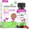 Wellements Organic Baby Multivitamin Drops (1 Fl Oz) - Cherry Flavor Liquid Multivitamins for Infants & Toddlers (2 Months+) - Toddler Vitamins for Immune Support*, Healthy Growth & Bone Development* view 1