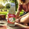 Chef K, Inc. | Ginger Punch  Classic Ginger Drink | Natural Refreshment 16 oz | 6 Pack view 3