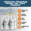 CarpetGeneral 4285 Heavy-Duty Multi-Surface Carpet Stain, 4 Gallon Case view 3