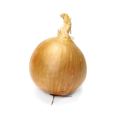 Onion Yellow Organic, 48 Ounce