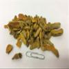 Turmeric | Curcuma longa L. | Jiang Huang |  view 2