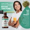 Buchu Tincture, Organic Buchu Extract (Agathosma Betulina) Dried Leaf Health Supplement, Non-GMO in Cold-Pressed Organic Vegetable Glycerin 2 oz, 670 mg view 4