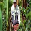 100% Colombian Coffee Beans view 3