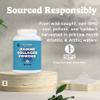 Zen Principle Marine Collagen Peptides Powder 3lb. Wild-Caught Fish, Non-GMO. Supports Healthy Skin, Hair, Joints, and Bones. Hydrolyzed Type 1 & 3 Protein. Amino Acids, Unflavored, Easy to Mix. view 4