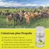 Hi Well Premium Kids Propolis + Grass-Fed Colostrum 180Tablets view 3