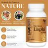 Vita Green Lingzhi Mushroom Supplement ()  Pure Reishi with Natural Antioxidants for Wellness, Energy, and Immune Support for Men & Women  72 Capsules view 2