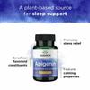 Swanson Apigenin Supplement, 50 mg, 90 Capsules Supports Sleep, Relaxation, Stress Relief & Mens Health (2 Pack) view 4