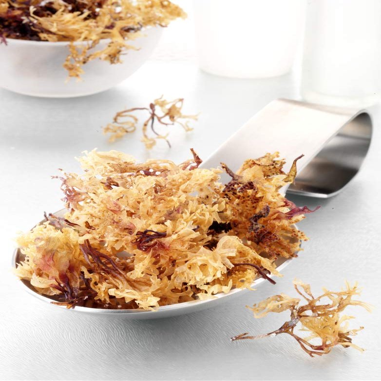 Dried Sea Moss - Premium 100% Natural - Fresh Irish Moss - 8oz - By Semaj Products USA