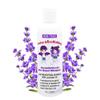 Fairy LiceMothers LavenderLocks for Lice Prevention Shampoo, 8 fluid ounces - Gentle, Pesticide Free, Suitable for All Hair Types, Aromatherapy, Scented view 1