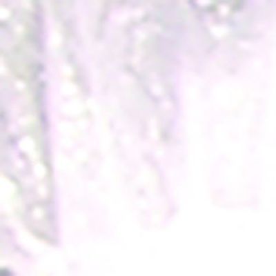 The Ribbon People Club Pack of 36 White Organza Tie Gift Bags 3.5" x 5.5"