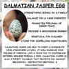 Jet Dalmatian Jasper Egg 2 Inch Natural Healing Crystal Stone for Energy Balancing, Chakra Meditation, Reiki, Home Dcor & Crystal Collection view 3