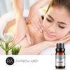 2-Pack Jasmine Essential Oil 100% Pure Orangic Aroma Plant Essential Oils Set for Diffuser - 2x10ML view 2