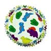 R&M International Dinosaur Bake Cups, 50 count, Medium, Multicolored view 3