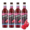 DaVinci Gourmet Sugar-Free Raspberry Syrup, 25.4 Fluid Ounces (Pack of 4) view 1