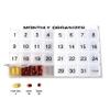 31 compartments, 1 per Day, 4 Week Monthly Pill Organizer by Promed. Includes Tray and 8 Removable compartments. (White) view 4