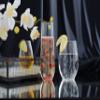 Renaissance Clear Stemless Goblet, 6 Count (Pack of 8) view 2