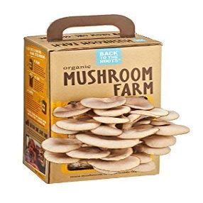BACK TO THE ROOTS Organic Mushroom Farm, 1 EA