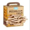 BACK TO THE ROOTS Organic Mushroom Farm, 1 EA view 1