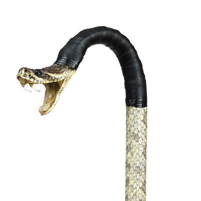 Genuine Eastern Diamondback Rattlesnake Head Walking Cane - Handmade Snake Staff Walking Stick, Real Taxidermy Snake Stick Handle - Wooden Staff, Black Rubber Shaft, Leather Grip - 38.5 Inches