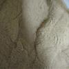 100 Grams Ginger Root Extract Powder, 5% Gingerols CAS# 151-21-3 view 2